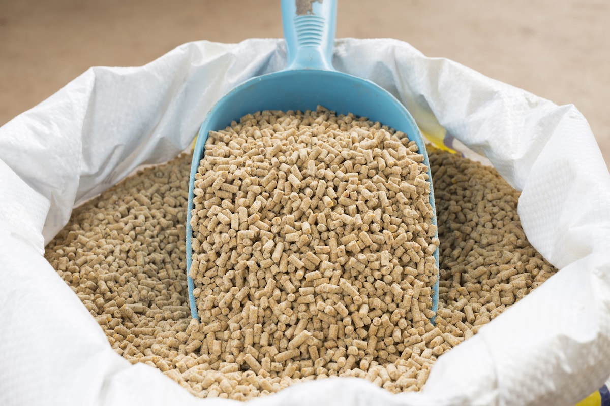 Organic Animal feed