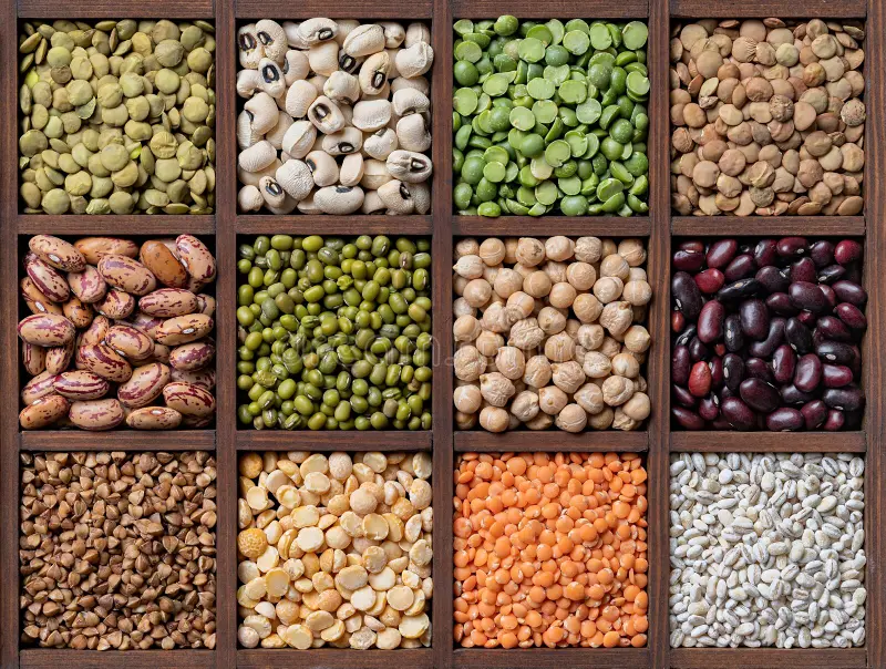 Organic Pulses
